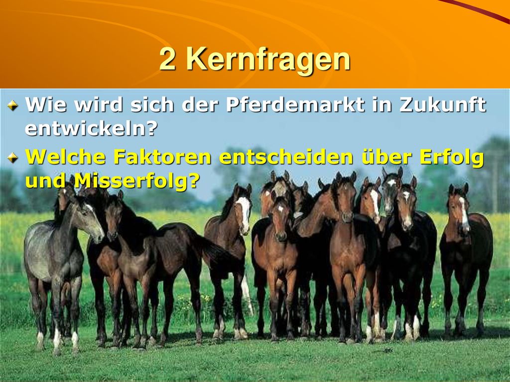2 Kernfragen Wie wird sich der Pferdemarkt in Zukunft entwickeln