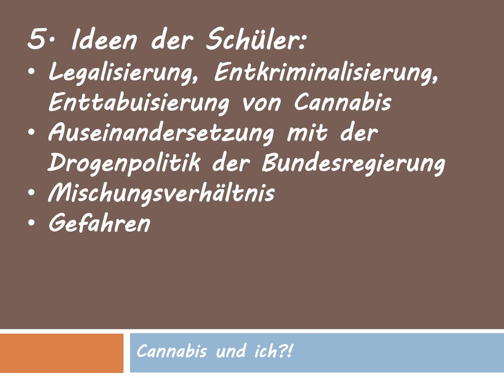 5. Ideen der Schüler: Legalisierung, Entkriminalisierung, Enttabuisierung von Cannabis. Auseinandersetzung mit der Drogenpolitik der Bundesregierung.