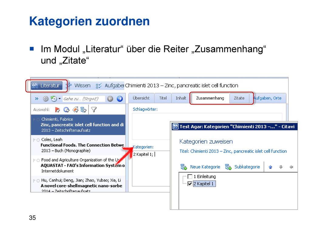 Kategorien zuordnen Im Modul „Literatur über die Reiter „Zusammenhang und „Zitate