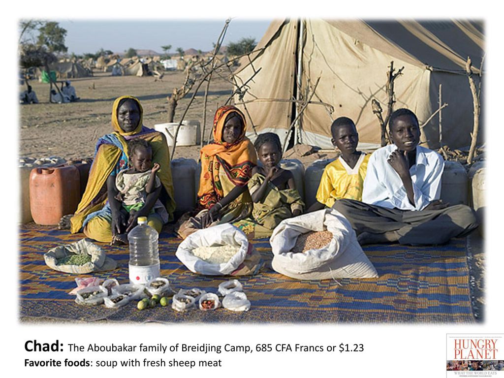 Chad: The Aboubakar family of Breidjing Camp, 685 CFA Francs or $1.23