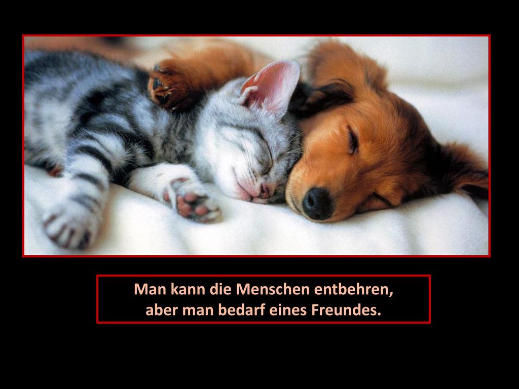 Man kann die Menschen entbehren, aber man bedarf eines Freundes.