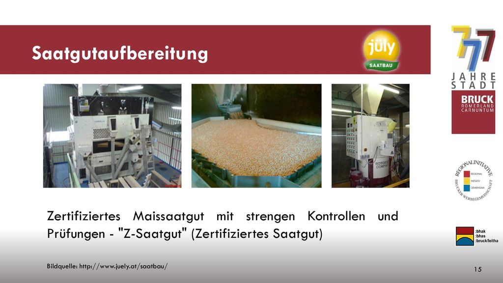 Saatgutaufbereitung Zertifiziertes Maissaatgut mit strengen Kontrollen und Prüfungen - Z-Saatgut (Zertifiziertes Saatgut)