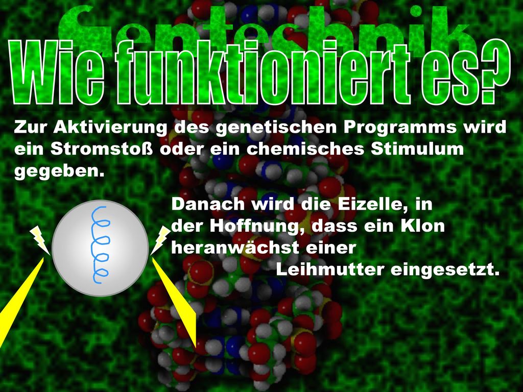 Wie funktioniert es Zur Aktivierung des genetischen Programms wird ein Stromstoß oder ein chemisches Stimulum gegeben.