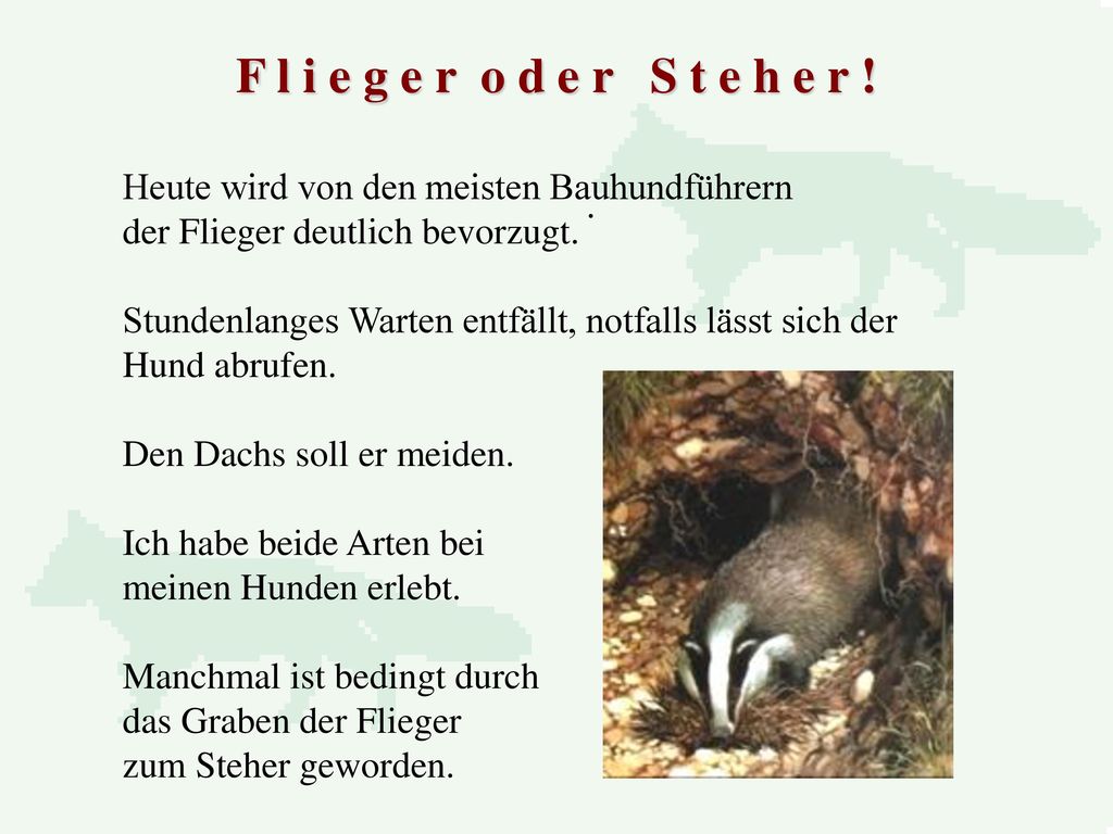 F l i e g e r o d e r S t e h e r ! Heute wird von den meisten Bauhundführern. der Flieger deutlich bevorzugt.