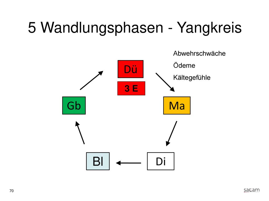 3 Erwärmer (Yang) Beamte für die Bewässerung