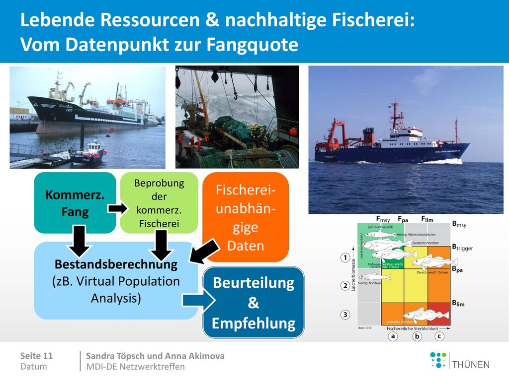 Nachhaltige Bewirtschaftung der Fischbestände – Wo stehen wir in Europa