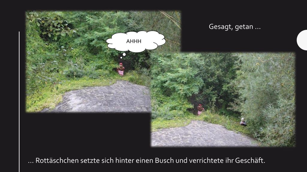 Gesagt, getan … AHHH … Rottäschchen setzte sich hinter einen Busch und verrichtete ihr Geschäft.
