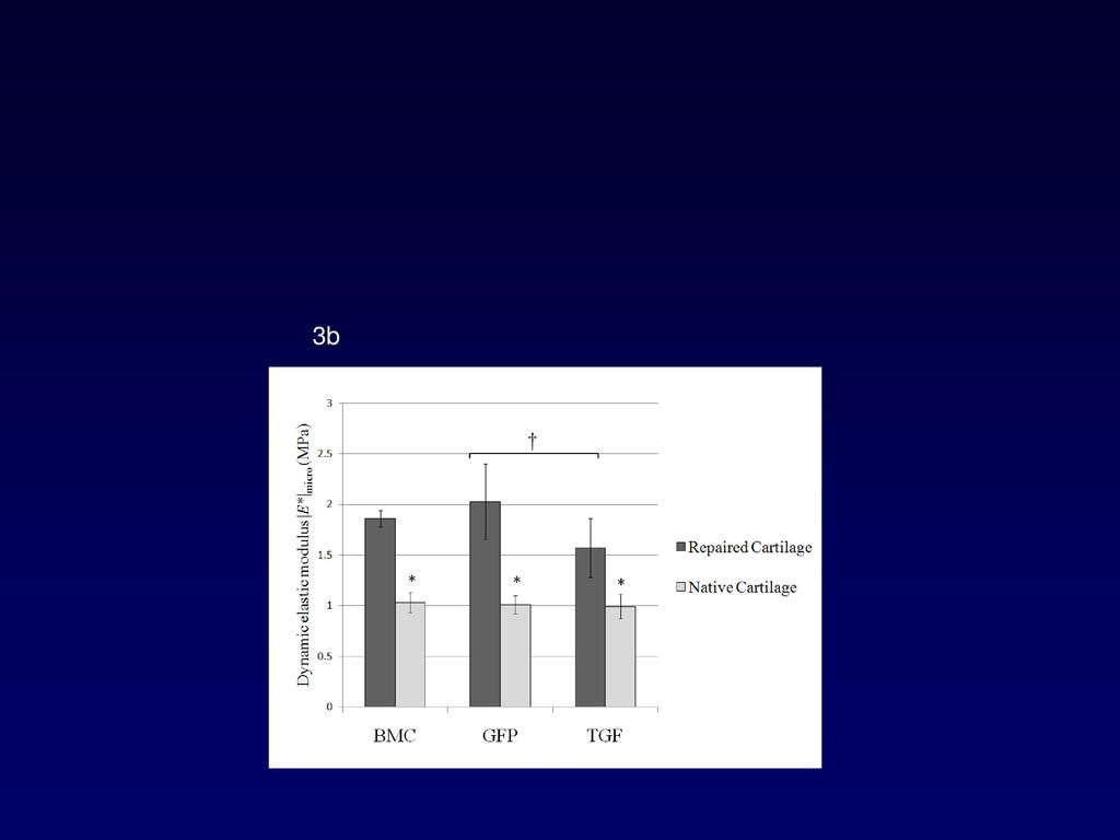 3b Entwicklung der Orthopädie in den einzelnen Spezialbereichen - American Academy of Orthopaedic Surgeons (AAOS) – www.