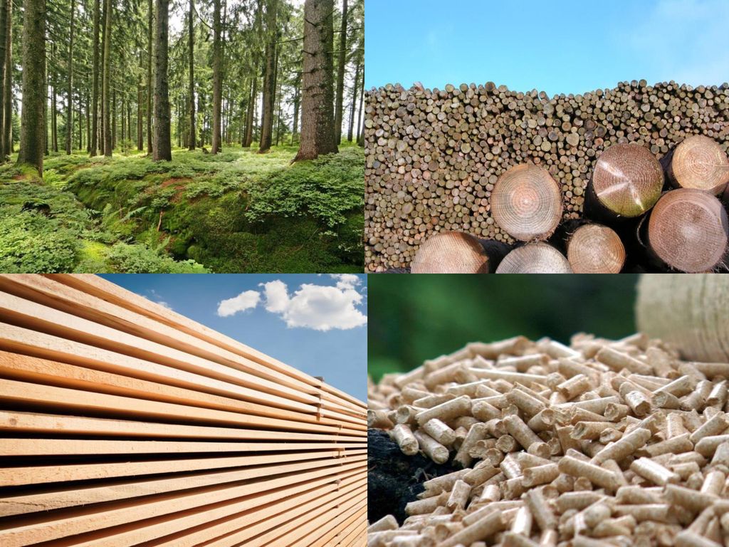 Holz in der Ursprungsform und in den ersten Verarbeitungsstufen.