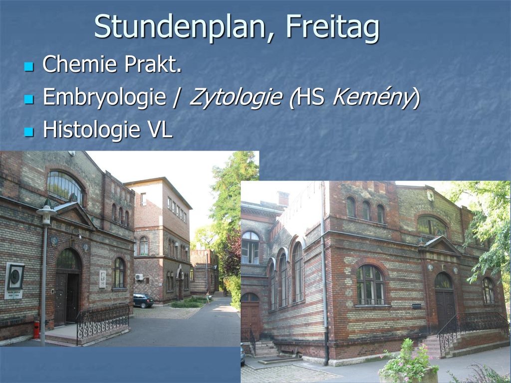 Stundenplan, Freitag Chemie Prakt. Embryologie / Zytologie (HS Kemény)
