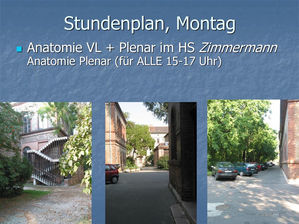 Stundenplan, Montag Anatomie VL + Plenar im HS Zimmermann Anatomie Plenar (für ALLE Uhr)
