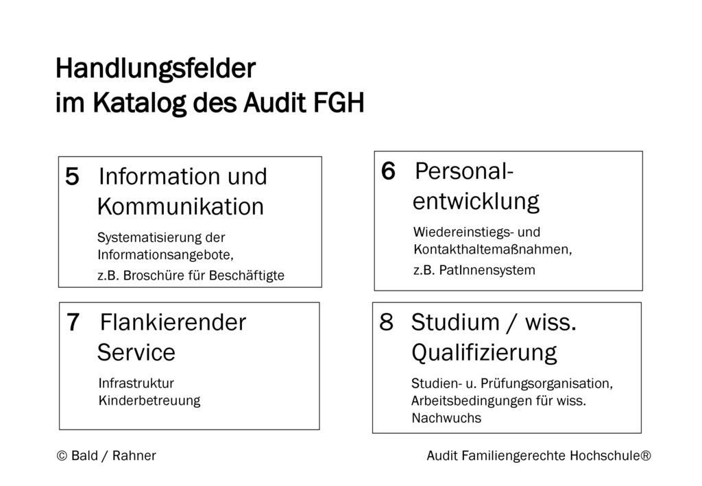 Handlungsfelder im Katalog des Audit FGH
