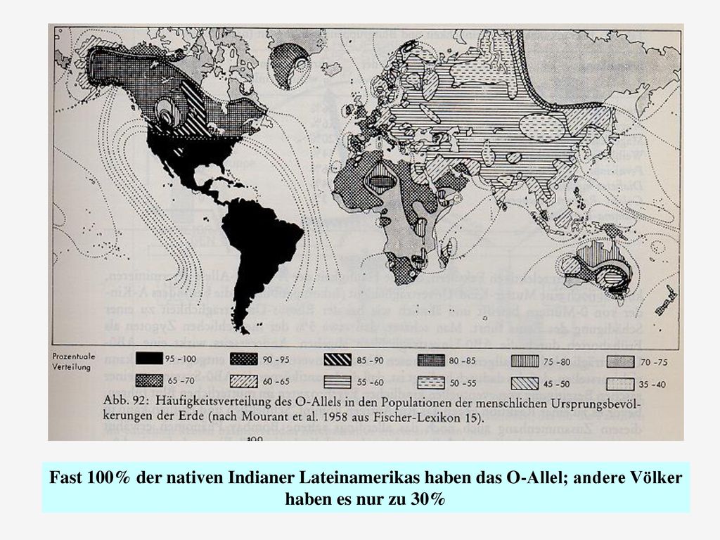 Fast 100% der nativen Indianer Lateinamerikas haben das O-Allel; andere Völker haben es nur zu 30%
