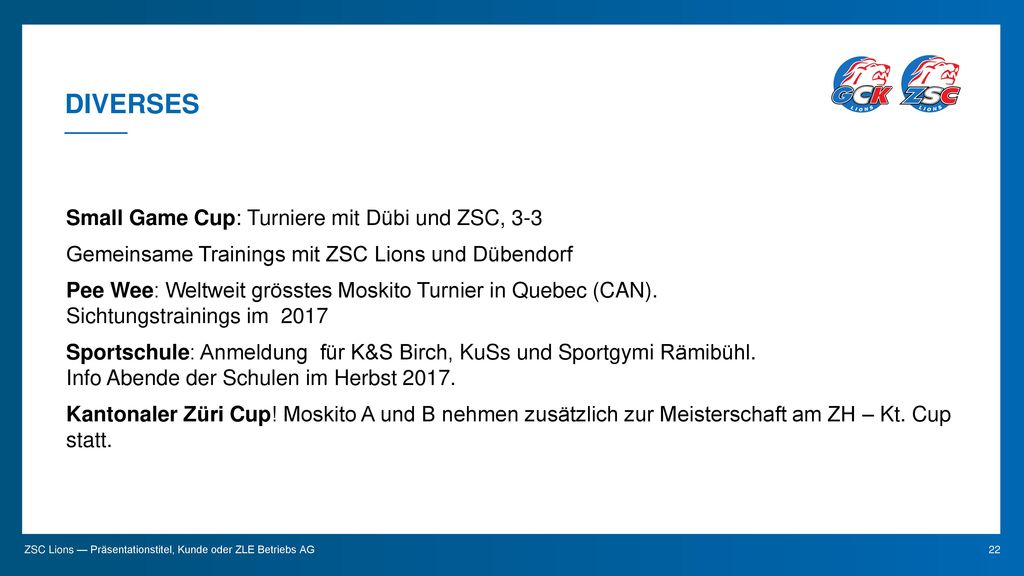 Diverses Small Game Cup: Turniere mit Dübi und ZSC, 3-3