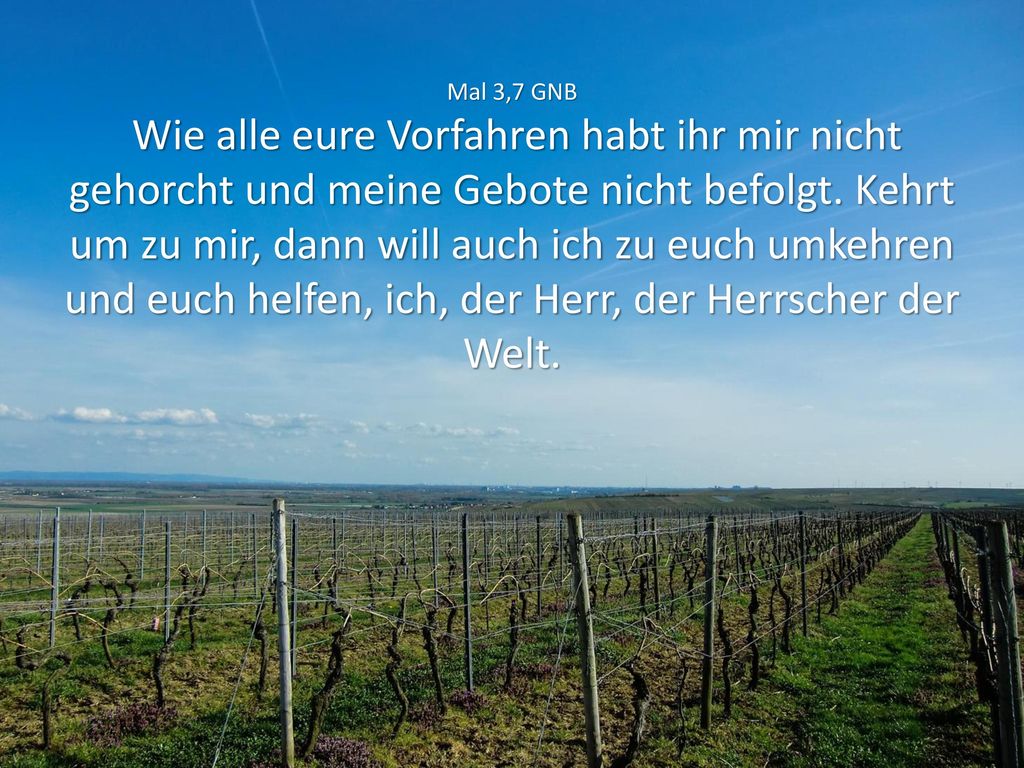 Mal 3,7 GNB Wie alle eure Vorfahren habt ihr mir nicht gehorcht und meine Gebote nicht befolgt.