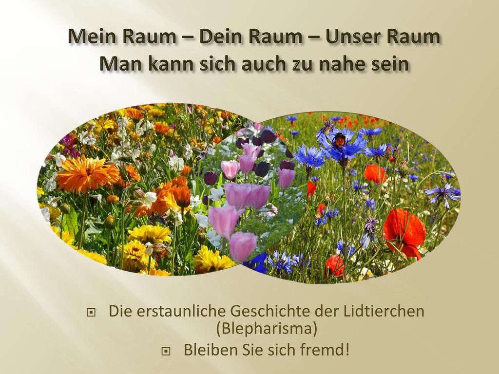 Mein Raum – Dein Raum – Unser Raum Man kann sich auch zu nahe sein