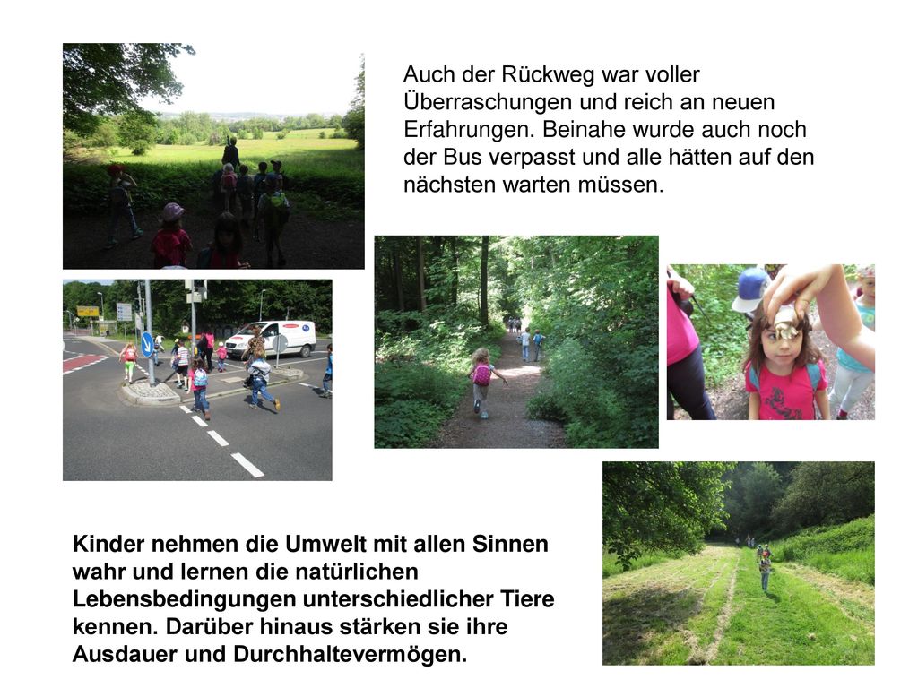 Auch der Rückweg war voller Überraschungen und reich an neuen Erfahrungen. Beinahe wurde auch noch der Bus verpasst und alle hätten auf den nächsten warten müssen.