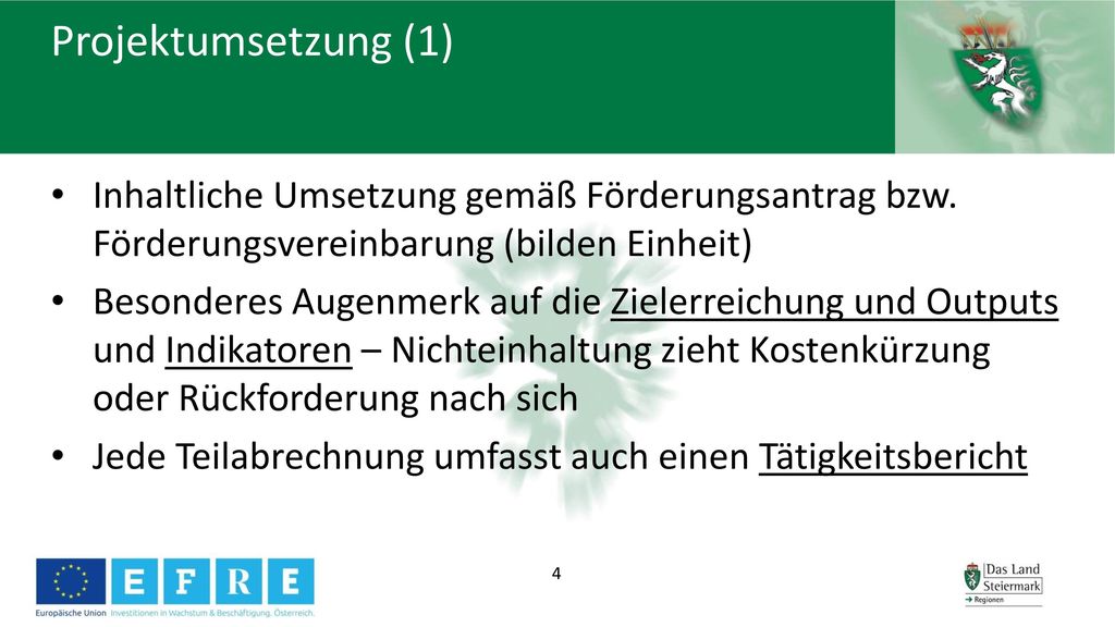 Projektumsetzung (1) Inhaltliche Umsetzung gemäß Förderungsantrag bzw. Förderungsvereinbarung (bilden Einheit)