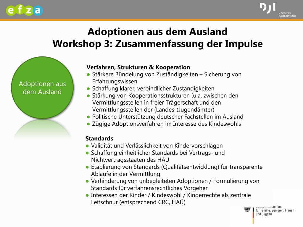 Adoptionen aus dem Ausland Workshop 3: Zusammenfassung der Impulse