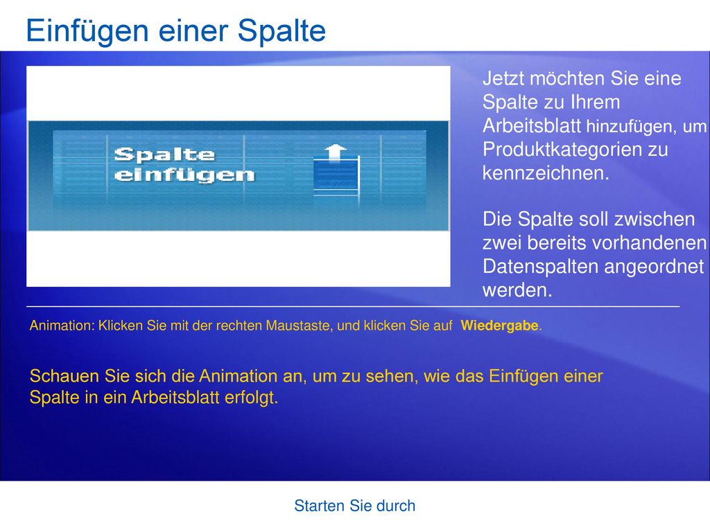Einfügen einer Spalte Jetzt möchten Sie eine Spalte zu Ihrem Arbeitsblatt hinzufügen, um Produktkategorien zu kennzeichnen.