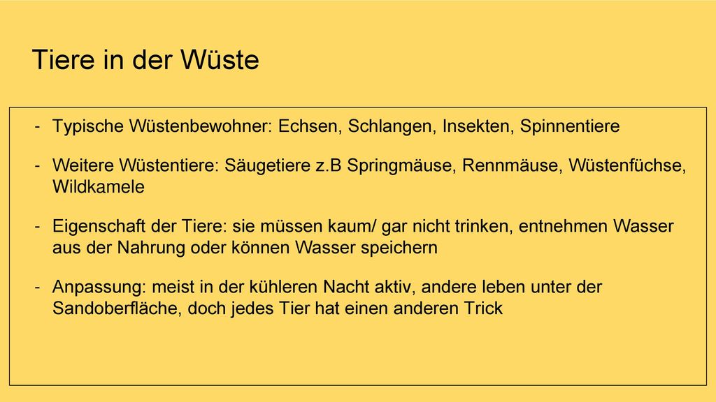 Tiere in der Wüste Typische Wüstenbewohner: Echsen, Schlangen, Insekten, Spinnentiere.