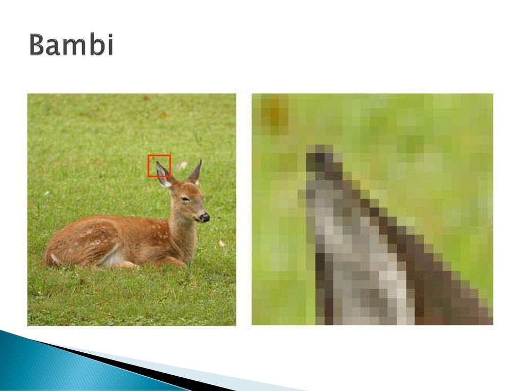 Bambi Hier ist Bambi, in diesem digitalische welt, sie besteht aus Pixeln.