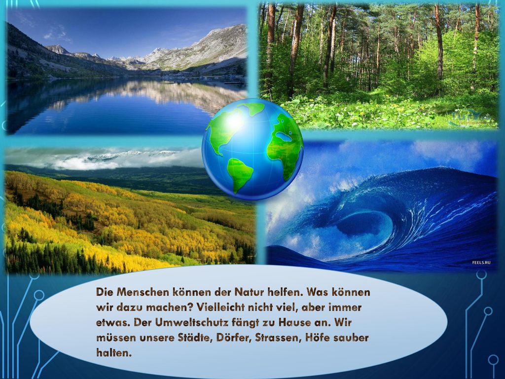 Die Menschen können der Natur helfen. Was können wir dazu machen