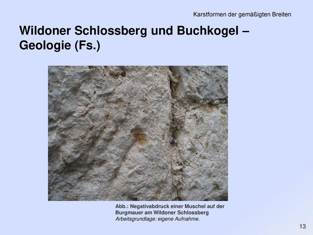 PS Einführung in die Geschichte der Minderheiten in der FNZ SS 2011