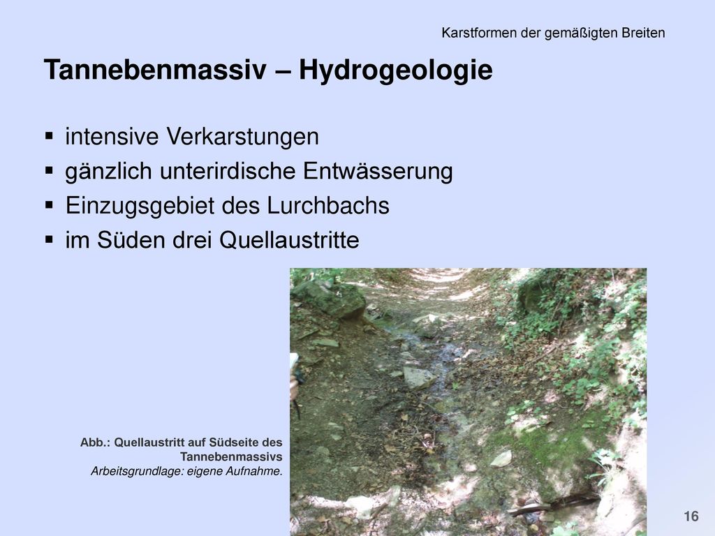 PS Einführung in die Geschichte der Minderheiten in der FNZ SS 2011