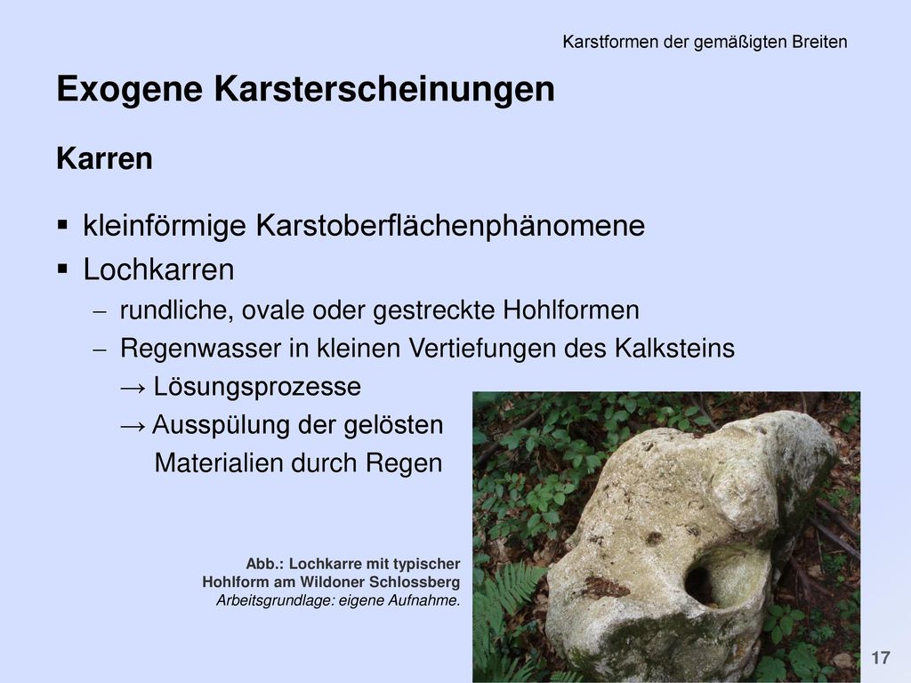 PS Einführung in die Geschichte der Minderheiten in der FNZ SS 2011