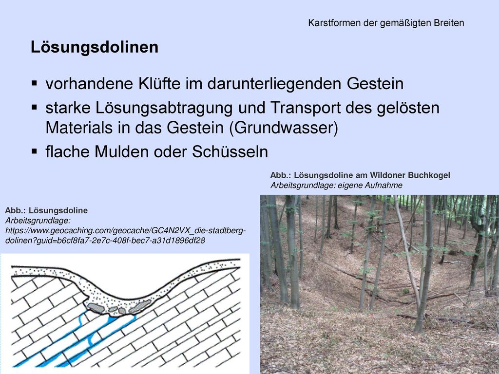 PS Einführung in die Geschichte der Minderheiten in der FNZ SS 2011