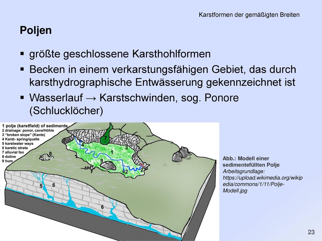 PS Einführung in die Geschichte der Minderheiten in der FNZ SS 2011