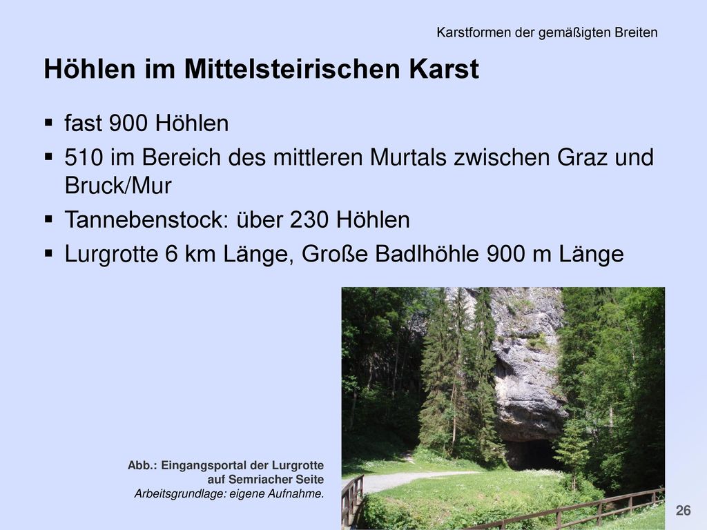 PS Einführung in die Geschichte der Minderheiten in der FNZ SS 2011