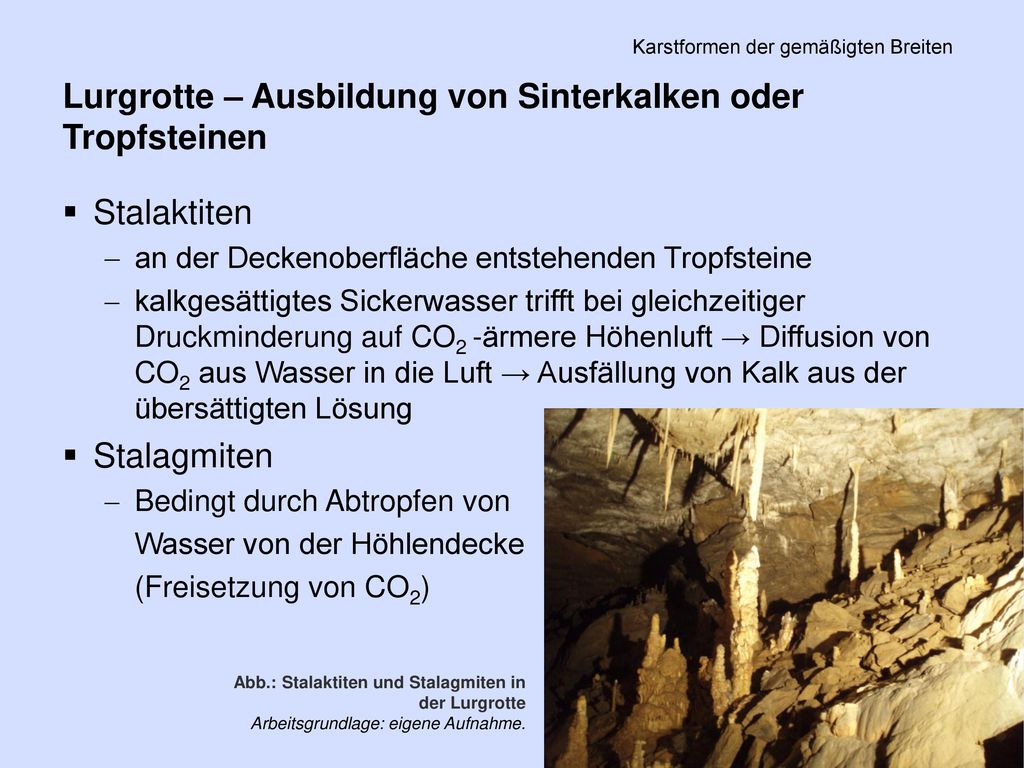 PS Einführung in die Geschichte der Minderheiten in der FNZ SS 2011