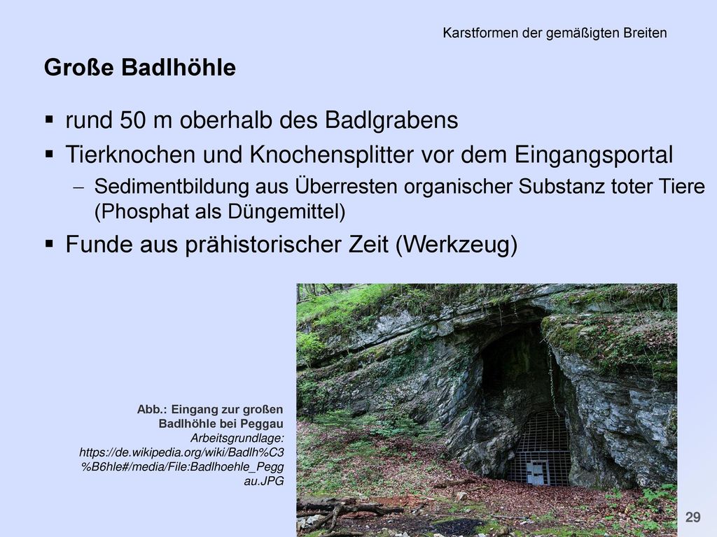 PS Einführung in die Geschichte der Minderheiten in der FNZ SS 2011