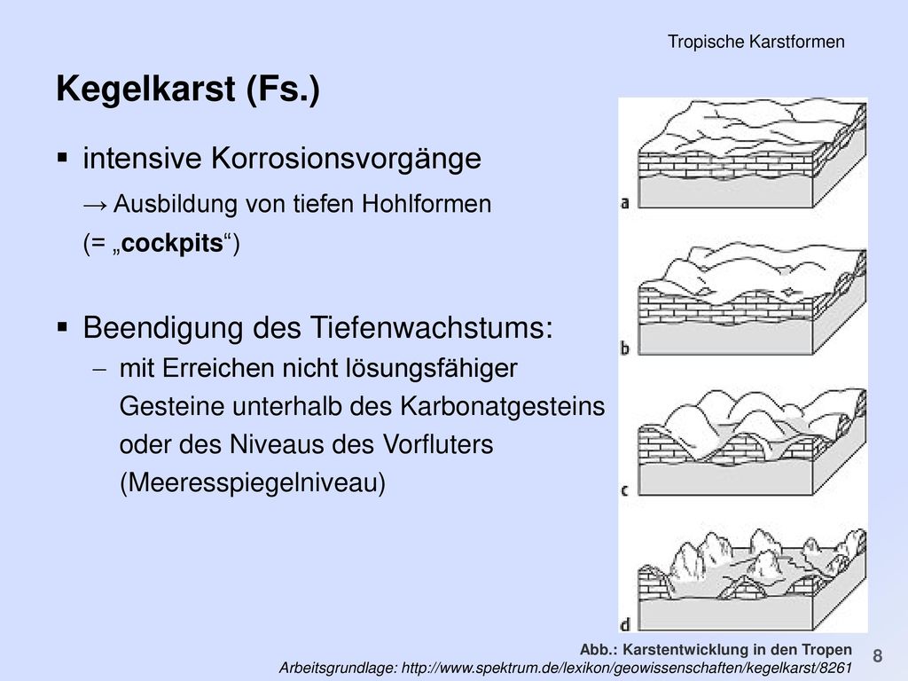 PS Einführung in die Geschichte der Minderheiten in der FNZ SS 2011