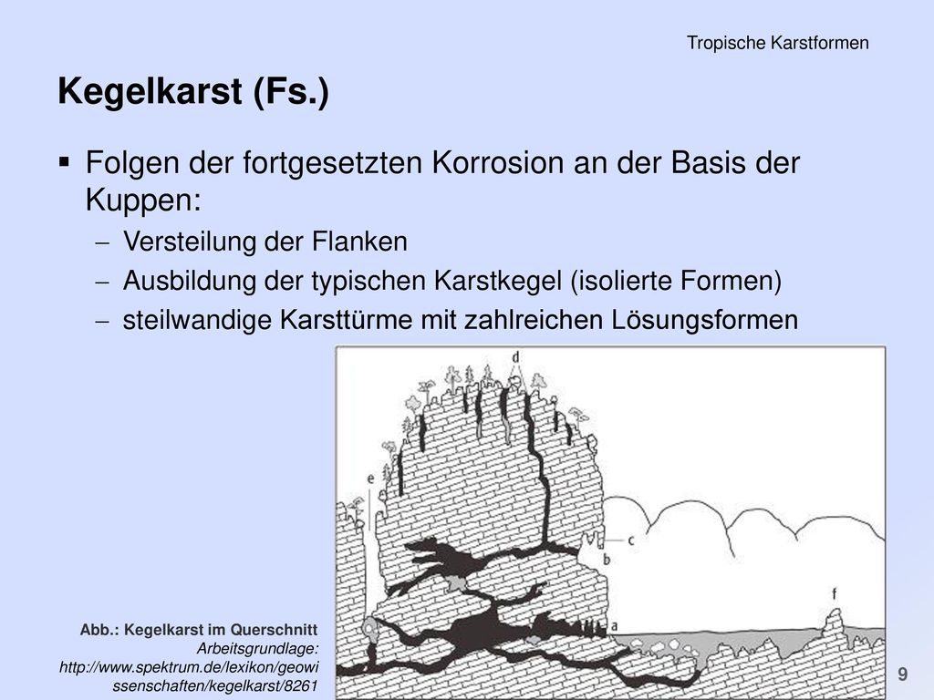 PS Einführung in die Geschichte der Minderheiten in der FNZ SS 2011