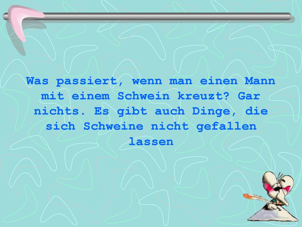 Was passiert, wenn man einen Mann mit einem Schwein kreuzt. Gar nichts