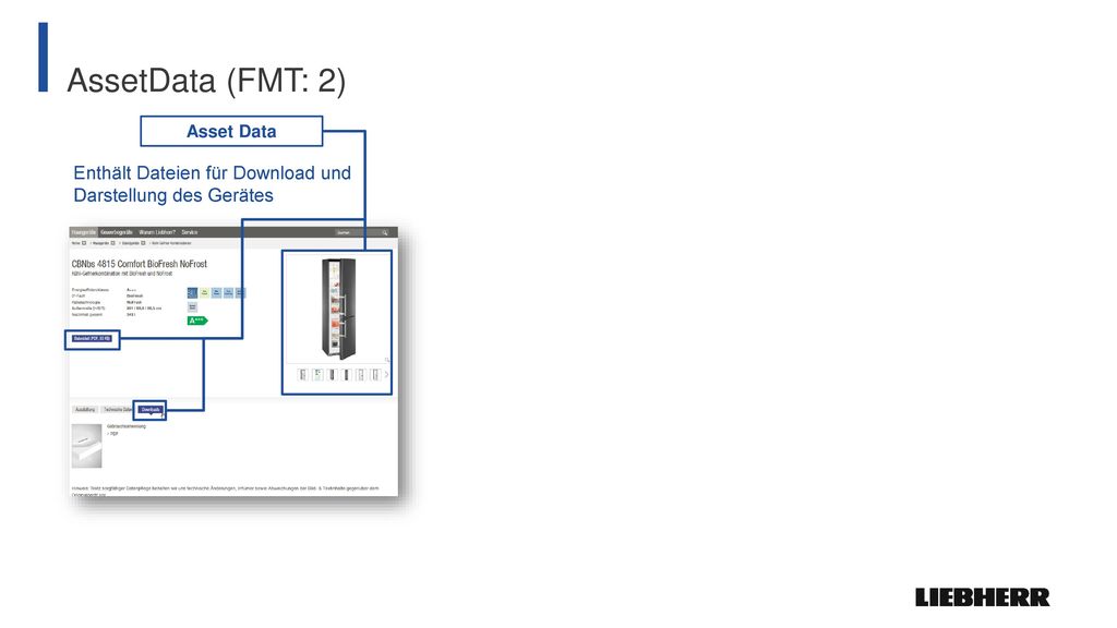 AssetData (FMT: 2) Asset Data Enthält Dateien für Download und Darstellung des Gerätes