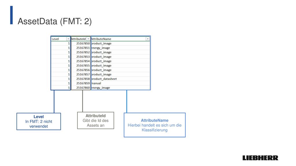 AssetData (FMT: 2) AttributeId Level Gibt die Id des Assets an