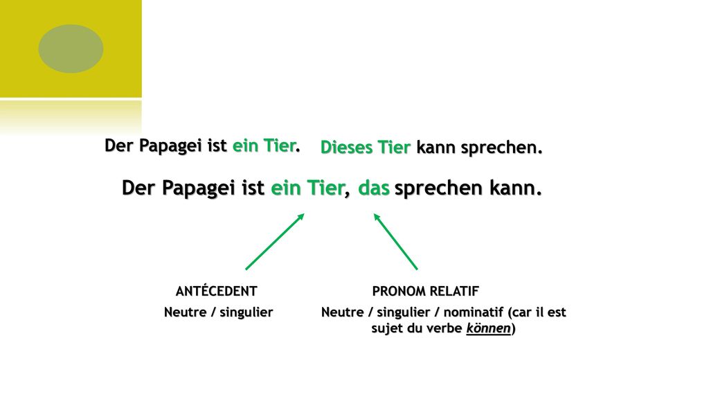 Neutre / singulier / nominatif (car il est sujet du verbe können)