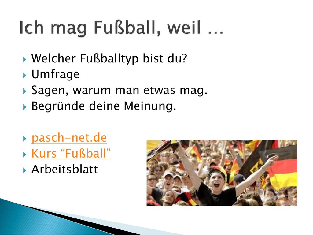 Ich mag Fußball, weil … Welcher Fußballtyp bist du Umfrage