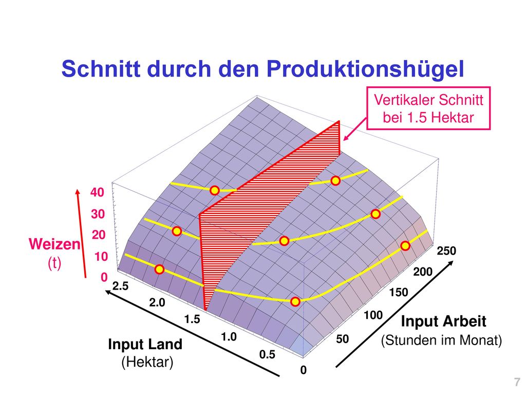 Schnitt durch den Produktionshügel