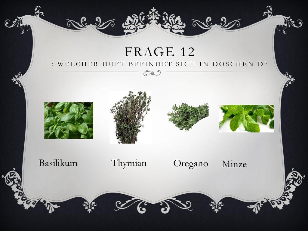 FRAGE 12 : Welcher Duft befindet sich in Döschen D