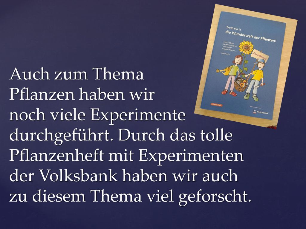 Auch zum Thema Pflanzen haben wir noch viele Experimente durchgeführt