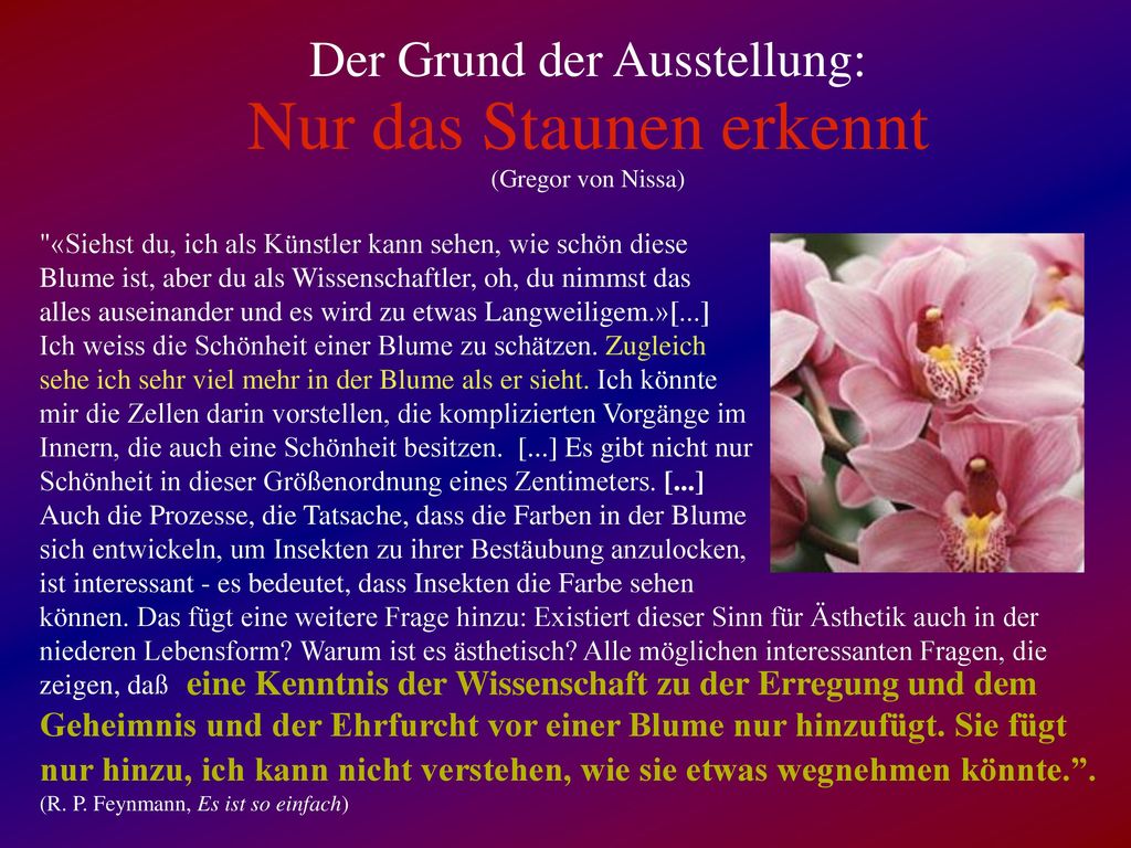 Der Grund der Ausstellung: Nur das Staunen erkennt (Gregor von Nissa)