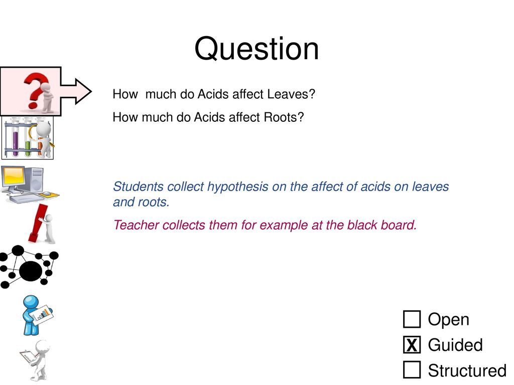 Question Open Guided Structured X How much do Acids affect Leaves