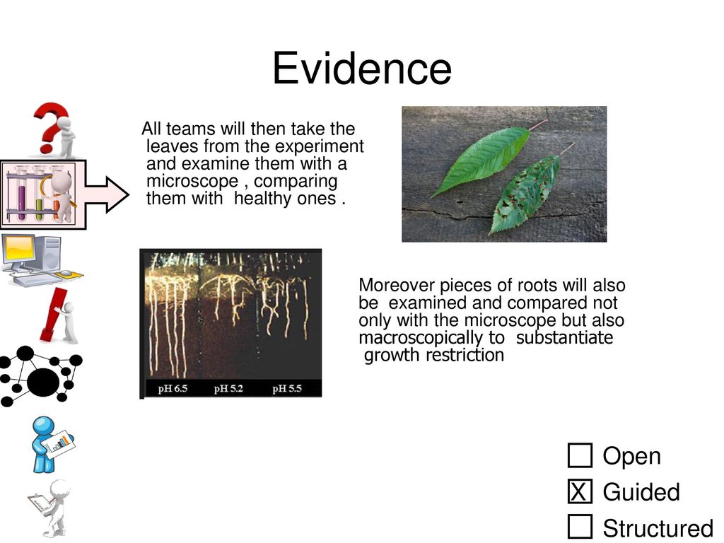 Evidence Open X Guided Structured All teams will then take the