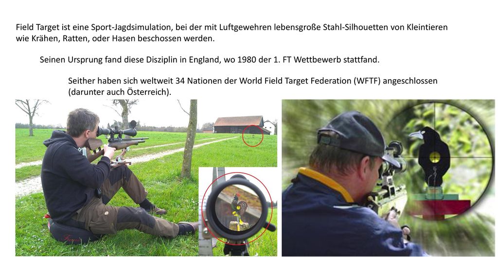 Field Target ist eine Sport-Jagdsimulation, bei der mit Luftgewehren lebensgroße Stahl-Silhouetten von Kleintieren wie Krähen, Ratten, oder Hasen beschossen werden.