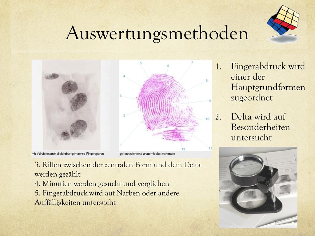 Auswertungsmethoden Fingerabdruck wird einer der Hauptgrundformen zugeordnet. Delta wird auf Besonderheiten untersucht.